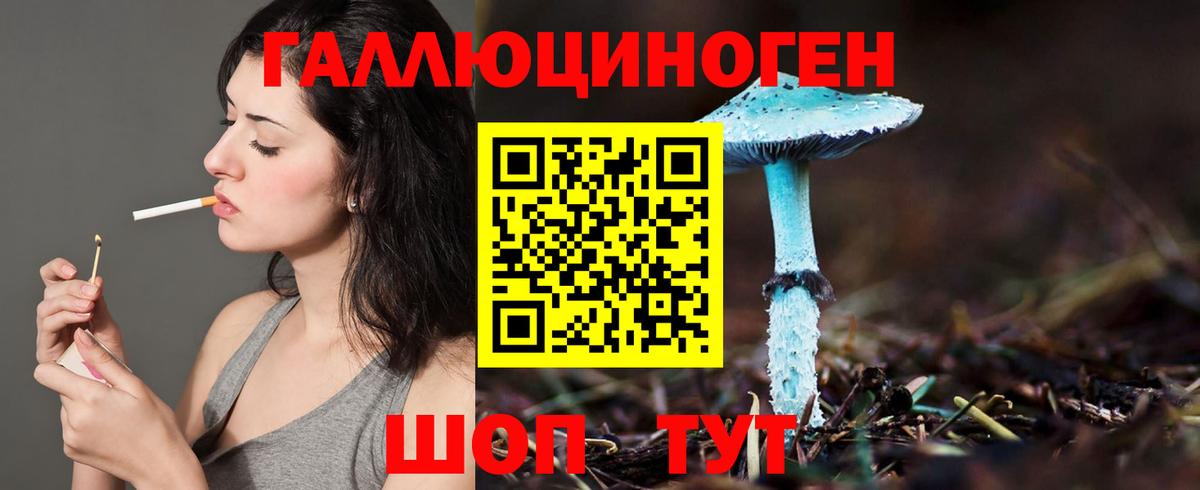 Псилоцибиновые грибы Magic Shrooms  Вход с VPN  купить   Псилоцибиновые грибы Magic Shrooms  Брянск 